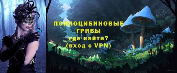 эйфоретик Протвино