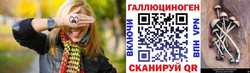Псилоцибиновые грибы Psilocybine cubensis дарнет шоп Билибино
